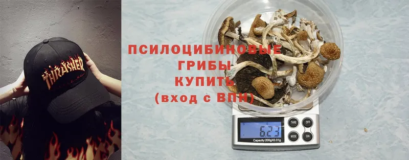 купить закладку  Нижняя Тура  Галлюциногенные грибы MAGIC MUSHROOMS 